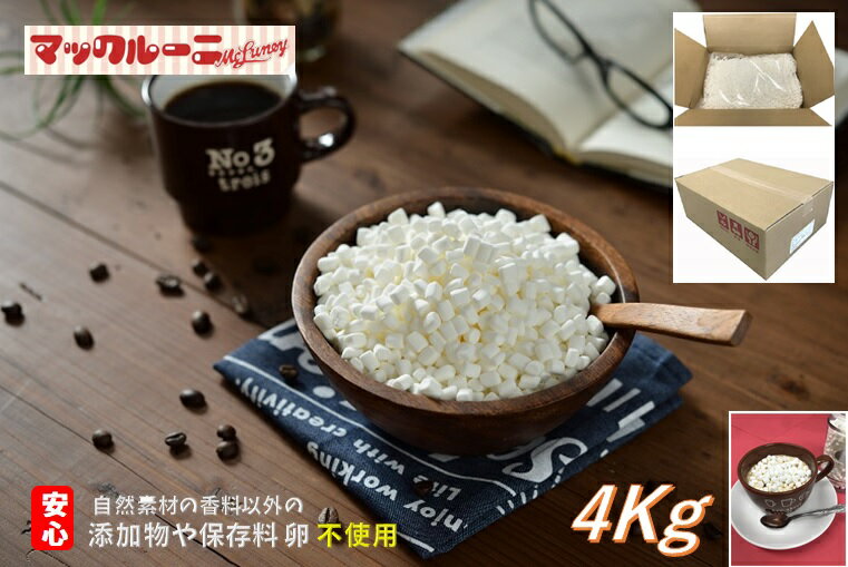 共立食品 ホームメイド デコペンチョコ 10g ×5 メーカー直送