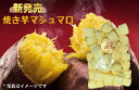 さつま芋 入り 焼き芋 マシュマロ 【 お得な2袋セット】( 送料無料 )