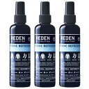 リデン ファブリックミスト 【まとめ買い】REDEN リデン ファブリックリフレッシャー シトラスムスクの香り 200ml 3本セット 正規品