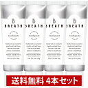 【全品ポイント10倍★9/11 1:59まで】【まとめ買い】B BREATH ビーブレス 薬用 トゥースペースト フレッシュミントの香り 80g 4本セット トゥース ペースト 歯磨き粉 医薬部外品 タバコのヤニ除去 ホワイトニング 虫歯予防 口臭ケア
