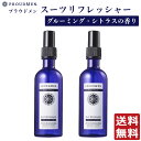 【まとめ買い】衣類 消臭スプレー PROUDMEN プラウドメン スーツリフレッシャー グルーミング シトラス 200ml×2本セット 衣類用 消臭剤 メンズコスメ 男性用 メンズ 香水 体臭 消臭 誕生日プレゼント フレグランスミスト