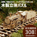 立体パズル 大人 ウッドパズル 木製 木製立体パズル 模型 プラモデル 3D 蒸気機関車 知育玩具 