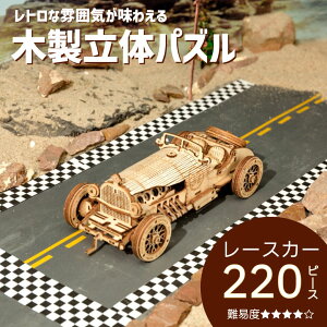 ウッドパズル 立体パズル 木製立体パズル プラモデル 3D クラシックレースカー スポーツカー レースカー 知育玩具 プレゼント 子供 小学生