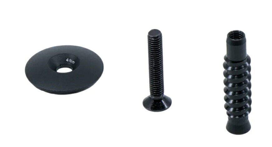 300695 ICS Carbon Disc Fork Topcap Roadmachine 01用 2017～