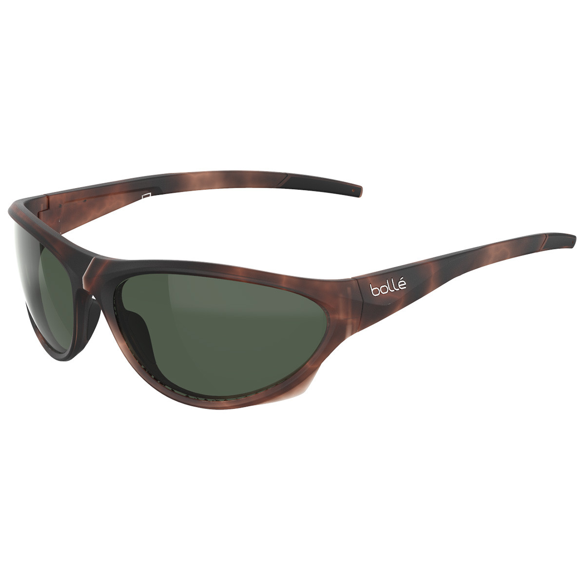 BS135004 CHIMERA@TOX Matte Tortoise Axis 2022yzy]ԁzyTCNOzy[hoCNzybollez