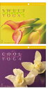 studio yoggy / COOL YOGA、SWEET YOGA(CD)【KK9N0D18P】【RCP】