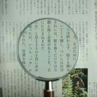 ●ガラス製レンズサイズ75mm。倍率2.5倍。見やすく程よい大きさが人気です。