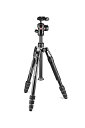 Manfrotto マンフロット befree 2N1 アルミニウムL ツーインワンキット MKBFRLA4B-BHM