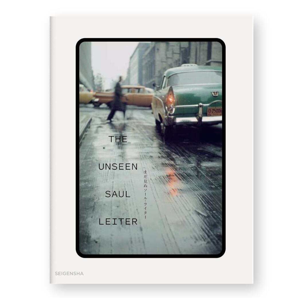 theunseensaulleiter.jpg