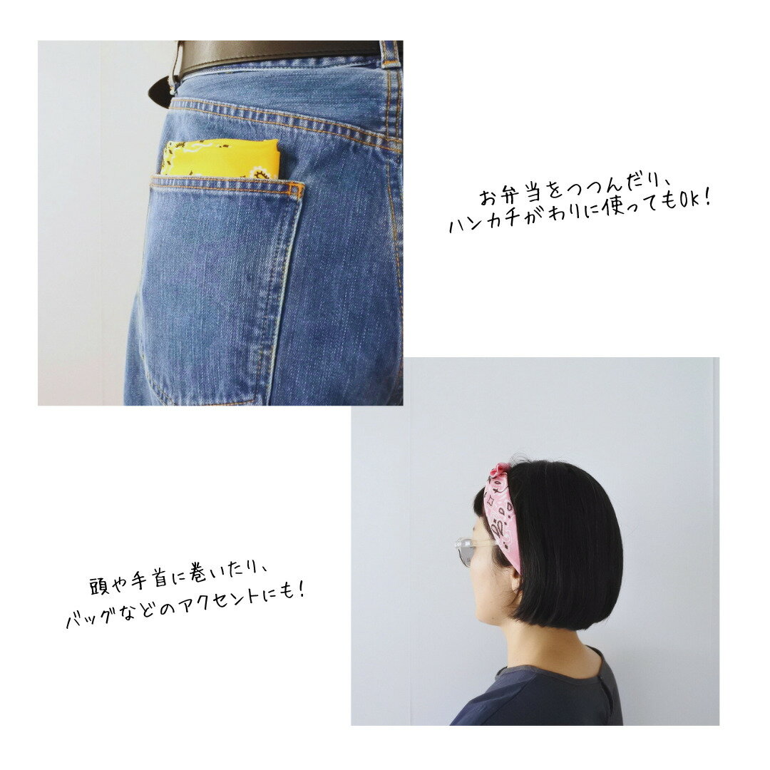 HAV-A-HANK �ϥХϥ� �Х���� �ϥ󥫥� ����ꥫ�� �ץ쥼��� ���ե� ��ǥ����� ��� ���åȥ� ��Ƚ havahank ���Ѷ� ��������