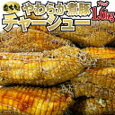 【自家製】煮豚 肩ロース チャーシュー 1.6kg (800g×2本) 豚肉 工場直送 冷凍 業務用 ...