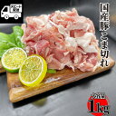 国産 豚 こま切れ 1kg (500g×2) 豚肉 豚小間 工場直送 冷凍 業務用 【当店オススメ】あす楽 ギフト 【自家製八王子ベーコンのサンプルプレゼント中】