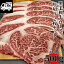 ڸ۹µ  ڤꥹơ 2祻å 500g250g2 ֥    µA4ʾ   С٥塼 BBQ ơ ֤ʪ  ե ڼȬҥ١Υץץ쥼