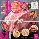 Bセット 数量限定 黒毛和牛入り 福袋 肉袋 肉福袋 不揃い 訳あり 切り落とし 炒め物 牛肉BBQ 焼肉 工場直送 冷凍 ハロウ