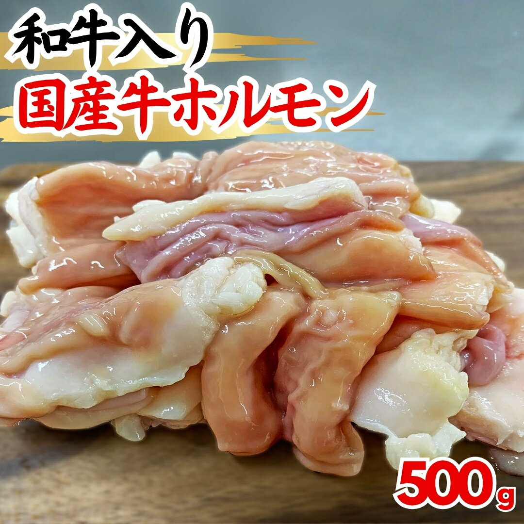 【和牛入り国産牛ホルモン】プリプリ ホルモン 国産 もつ鍋 牛モツ 和牛 脂付きホルモン 小腸 焼き肉 ..