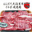 10ۤϤ¹   1kg(500g2ѥå) ˤΤ̳ƻ  񻺵 򻨵  С٥塼 BBQ  ԥۥ֥ɡ  ե ڼȬҥ١Υץץ쥼