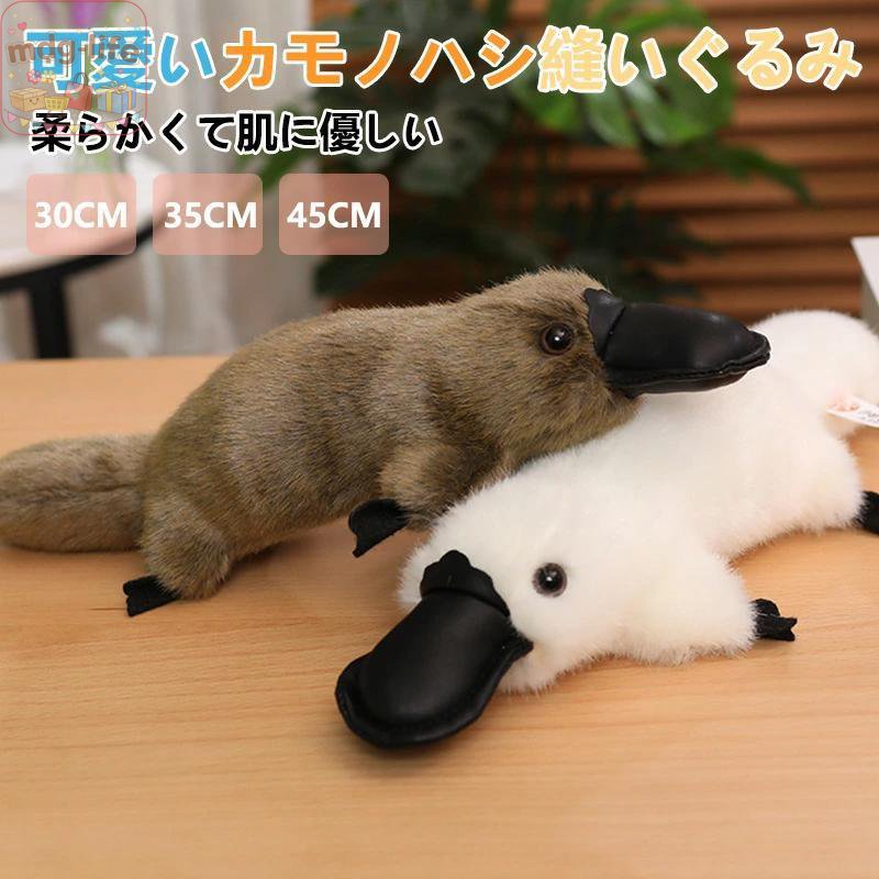 楽天市場】カモノハシさん（おもちゃ）の通販
