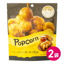 1000円ポッキリ ハッピーポップコーン ハニーバターキャラメル 2袋セット お菓子 スナック ポップコーン フレーバー ハニーバター キャラメル マッシュルー...