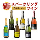 世界 5カ国 スパークリング ワイン 詰め合わせ 6本セット 飲み比べ おすすめ 人気 お酒 送料無料