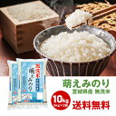 宮城県産 無洗米 萌えみのり 10kg 5kg 2袋セット 宮城 お米 送料無料 ブランド米 美味しい 10キロ お得 まとめ買い 国産 もえみのり 日本産 無洗 こめ おこめ 国内産 宮城産 ご飯 ごはん 白米