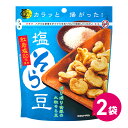 塩そら豆 スタンドパック 2袋セット おつまみ お菓子 菓子 そらまめ そら豆スナック おつまみセットやみつき 豆菓子 ソラマメ 家呑み つまみ md そら豆 ...