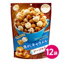 ハッピーポップコーン 焦がしキャラメル &シーソルト 12袋セット キャラメル ポップコーン フレーバー キャラメル味 詰め合わせ まとめ買い スナック菓子 お...