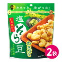 塩そら豆 わさび味 スタンドパック 2袋セット お試し 詰め合わせ まとめ買い 豆菓子 豆おつまみ そらまめ そら豆 お菓子 菓子 ワサビ わさび そらまめ ソ...