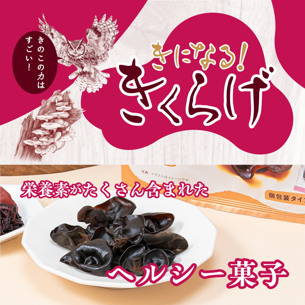 直営店 きくらげ 梅しそ味 1個 2個 6個 きになるきくらげ お菓子 おつまみ ダイエット きのこ おやつ スナック菓子 食物繊維 ビタミンD 鉄分補給 豊富 健康 ヘルシー 美容 歯ごたえ 人気 やみつき 詰め合わせ まとめ買い 単品 お試し MDホールディングス 条件付き 送料無料 2