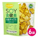 大豆チップス 大豆習慣 SOY食健美 6袋セット 国産 ノン