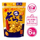 塩そら豆 徳用 スタンドパック 6袋セット おつまみ 大容量 豆菓子 豆おつまみ マメ まめ 豆 やみつき そら豆 そらまめ ソラマメ 家呑み つまみ オーストラリア産 紅岩塩 たんぱく質 チャック付き MDホールディングス 条件付き 送料無料