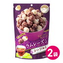 ハッピーポップコーン ラムレーズン シーソルト お試し 2袋セット お菓子 詰め合わせ ポップコーン おすすめ フレーバー スナック菓子 お得 買いまわり ポイ...