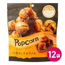 ハッピーポップコーン 焦がしキャラメル 12袋セット お菓子 スナック菓子 ポップコーン フレーバー キャラメル ポップコーン 濃厚 バター キャラメル風味 シ...
