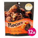 ハッピーポップコーン チョコキャラメル 12袋セット ポップコーン フレーバー チョコ キャラメルポップコーン お菓子 スナック菓子 チョコレート チョコキャラメル風味 マッシュルーム種