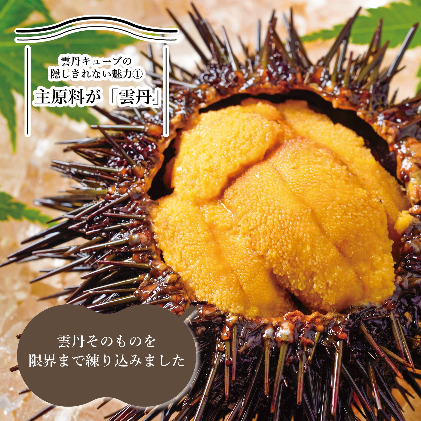 ��ð���塼�� ���� ��̣ ���Ĥޤ� ���� ���ˤĤޤ� ���Ĥޤ� ǻ�� ��ð ���� ���� �Ĥޤ� ���ۻ� �ۻ� ���ݤ� �Ĥޤ� ���塼�֥����� �ҤȤ��������� ����˹礦 ���ܼ�˹礦 MD�ۡ���ǥ��󥰥�