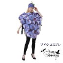 ブドウ コスプレ 面白い ハロウィン 大人 フルーツ コスプレ 衣装 カーニバル 仮装 コスチューム 果物 食べ物 着ぐるみ 男女兼用 コスチューム 仮装 学園祭 全身 ハロウィン パーティー イペント 大人 面白い