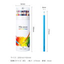 色鉛筆 48色セット 子供 こど 鉛筆 筆記具 文房具 文具 ギフト プレゼント 贈り物 プレゼント 入学祝い 卒業 卒園