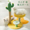 キャットタワー ミニ 猫タワー 爪とぎ 猫 極太ポール 爪磨き 爪みがき 猫のおもちゃ サボテン 猫タワー ポール キャットタワー 木登りタワー 麻縄巻き 猫用品 遊び ネコ用品 ボール付き 可愛 省スペース 頑丈 安全 展望台 組立簡単