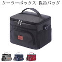 クーラーボックス 保冷バッグ 保温バッグ 15L ランチバッグ クーラーバッグ ソフトクーラーボックス ランチバッグ 断熱バッグ 小型 アウトドア 大容量 軽量 防水 お弁当箱 収納バッグ 収納ボックス 手提げと肩掛け両用 アウトドア ピクニック キャンプ 運動会(4)