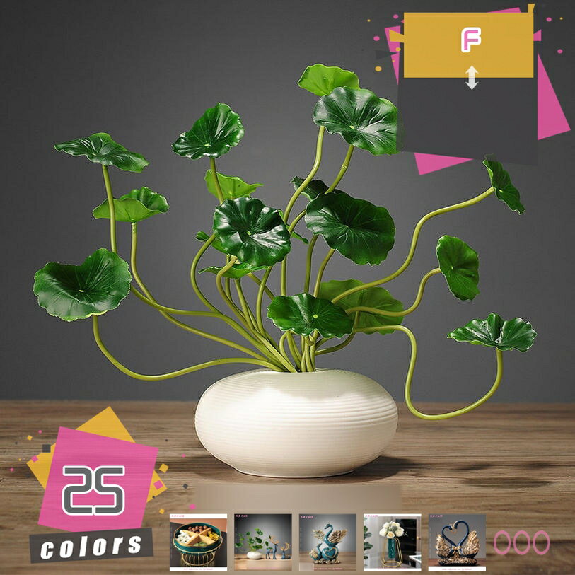 �ޥ����å� ����� ��ʪ ������� ��� �����ʥ��� ����ƥꥢ ���֥��� ������ ���� ������ ��ʪ ������ ��ȥ� ������ʪ ��ӥ� �쥹�ȥ�� �٥�...