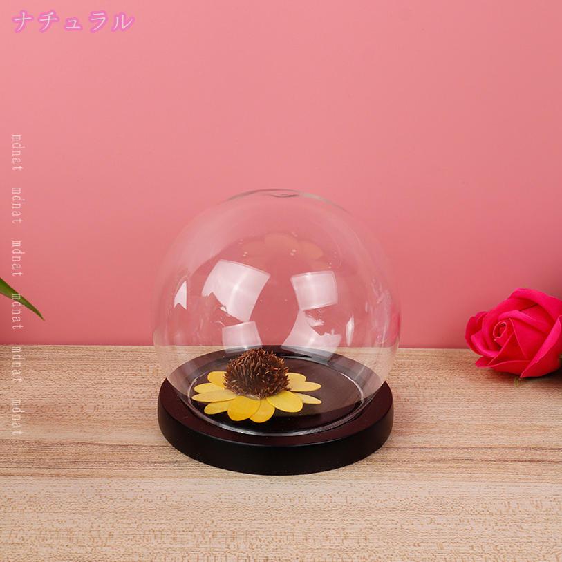 500円OFFクーポン ディスプレイケース フィギュアケース 工芸品 化粧品 模型 置物 ...