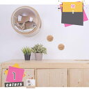 キャットウォーク 壁付け 木製 猫ハウス 透明ペット用ベッド 空気穴で ドーム状 猫用ベッド キャットタワー キャットステップ 壁付け対応 床置き対応 お手入れ...