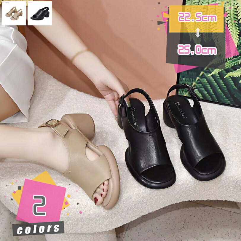 ������� �����ץ�ȥ� �⤭�䤹�� �Хå����ȥ�å� 5������ҡ��� �����䤹�� ��ǥ����� �ˤ��ʤ� ���ҡ��� �ݥҡ��� ���餫 ����󥭡��ҡ��� �ߥɥ�ҡ�...