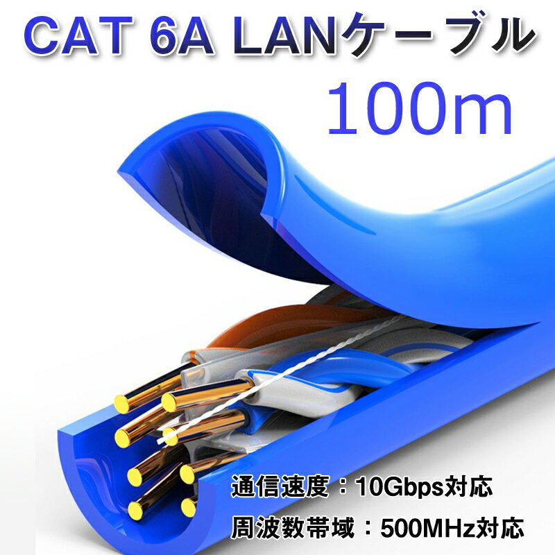 防犯カメラ工事用 LANケーブル100m CAT 6A 100メートル 10ギガビット 10Gbps 500MHz 光回線対応 超高速通信 ルーター パソコン プリンター 業務用 プロ