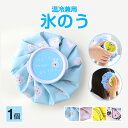 氷のう 1個 氷嚢 アイスパック アイシングバッグ 熱中症対策 子供 ミニ 軽量 温冷兼用 かわいい おしゃれ 野球 ゴルフ サッカー 発熱 怪我 応急 アイシング 暑さ対策 冷却グッズ
