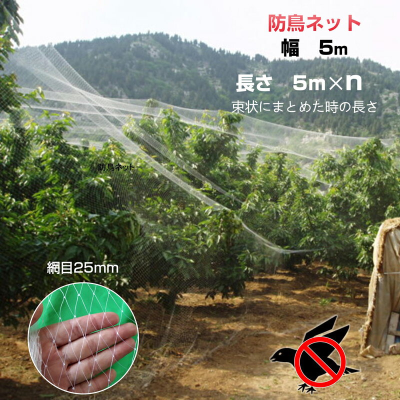防鳥ネット 防鳥網 透明 幅5m 長さ5m 網目25mm 強力 ナイロン 鳥よけネット カラス...