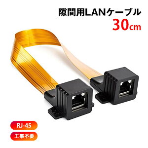 隙間用 LANケーブル 30cm 中継 延長 フラットケーブル RJ45 配線 工事不要 CAT5対応 100BASE-TX 高速伝送 100Mbps 屋内 屋外 家 オフィス 壁 扉 窓サッシ