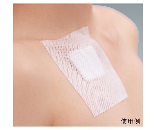 シルキーポア　ホワイト　10cm×10m　10号　11925　2巻セット　バラ売り 2