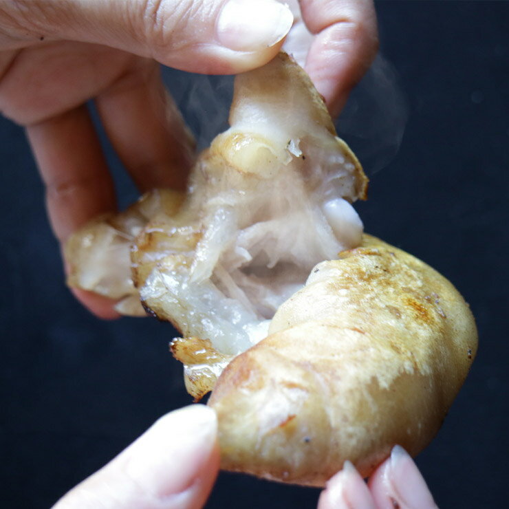 食べやすい半割済み 焼足毛処理済なので未加熱品でバラ冷凍 手間な半割作業がありません 豚耳ミミガーとともに 九州で人気の食材です 犬への自作手作りドッグフード おやつにも 国産 九州 豚足 とんそく てびち テビチ チョッパル トン足 トンソク 半割り カット 済み 2 1 食べやすい半割済み 焼足毛処理済なので未加熱品でバラ冷凍 手間な半割作業がありません 豚耳ミミガーとともに 九州で人気の食材です 犬への自作手作りドッグフード おやつにも 国産 九州 豚足 とんそく てびち テビチ チョッパル トン足 トンソク 半割り カット 済み 2 1