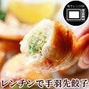 レンチン 手羽先餃子(手羽餃子/てばぎょうざ/手羽先ギョーザ) 冷凍 電子レンジOK スチーム加熱済み 業務用 おかず 人気 学園祭 学祭 模擬店 文化祭 お祭...
