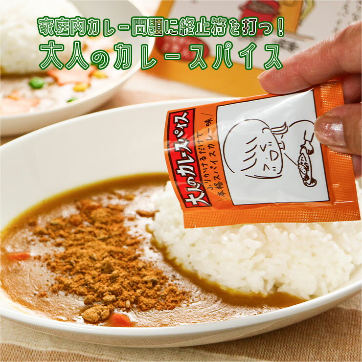 大人のカレースパイス 送料無料 カレー 本格 スパイス 20種 無添加 スパイスカレー 味変 フード 香辛料 調味料 ハーブ カレー粉 レトルト カレーパウダー 辛口 時短 本格 アレンジ コク 香り 美味 甘口カレー ちょい足しスパイス ちょい足し調味料 ミックススパイス